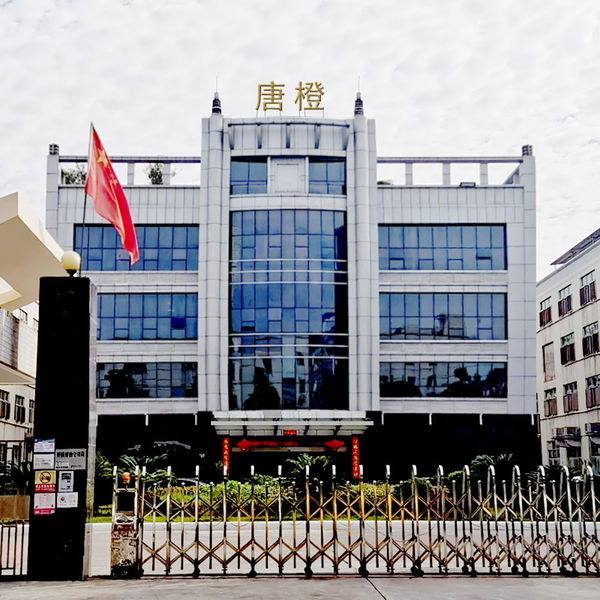 Porcellana Guangzhou Tangcheng Technology Co., Ltd. Profilo Aziendale